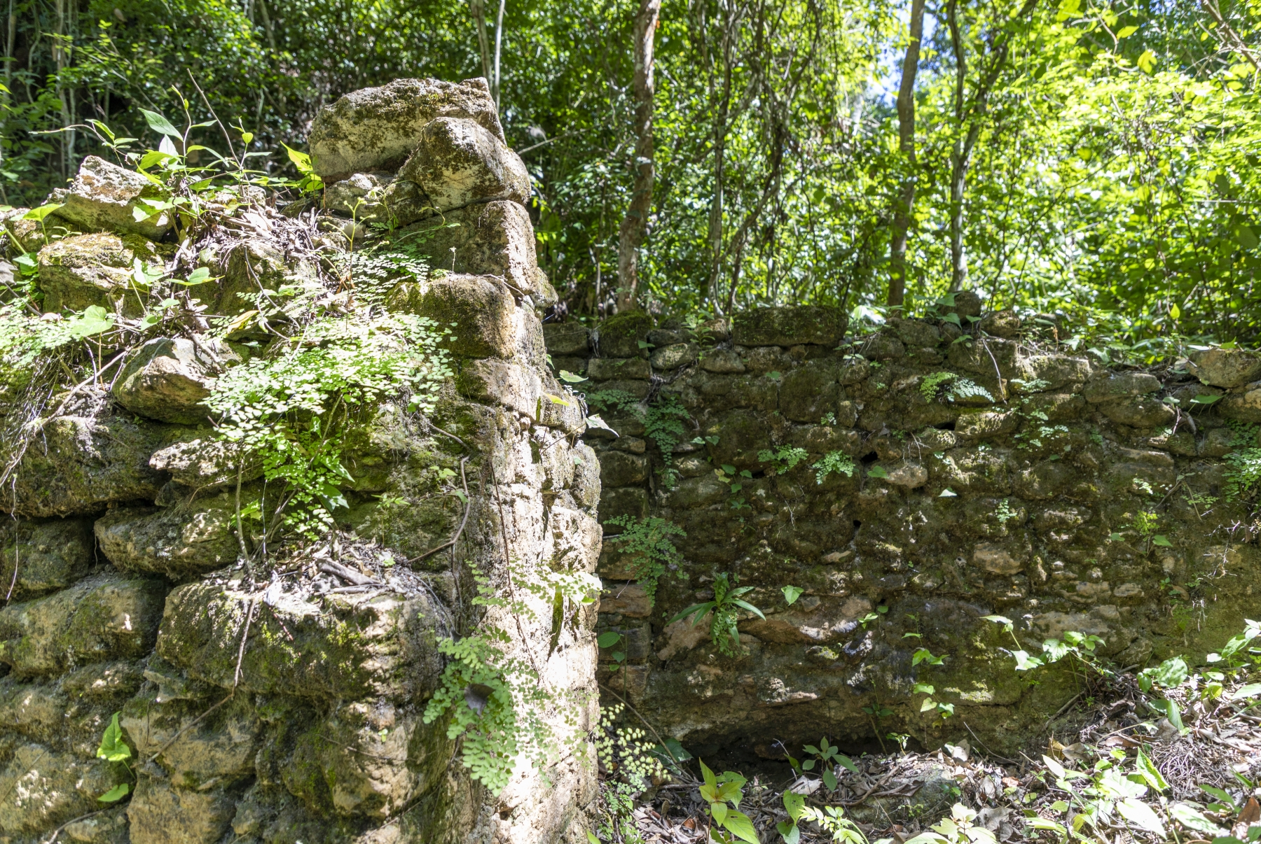 La Milpa Archaeological Site, Orange Walk District, Belize